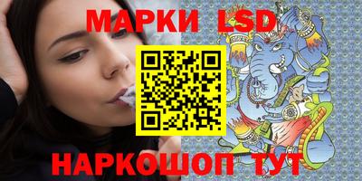 МДПВ Камышлов