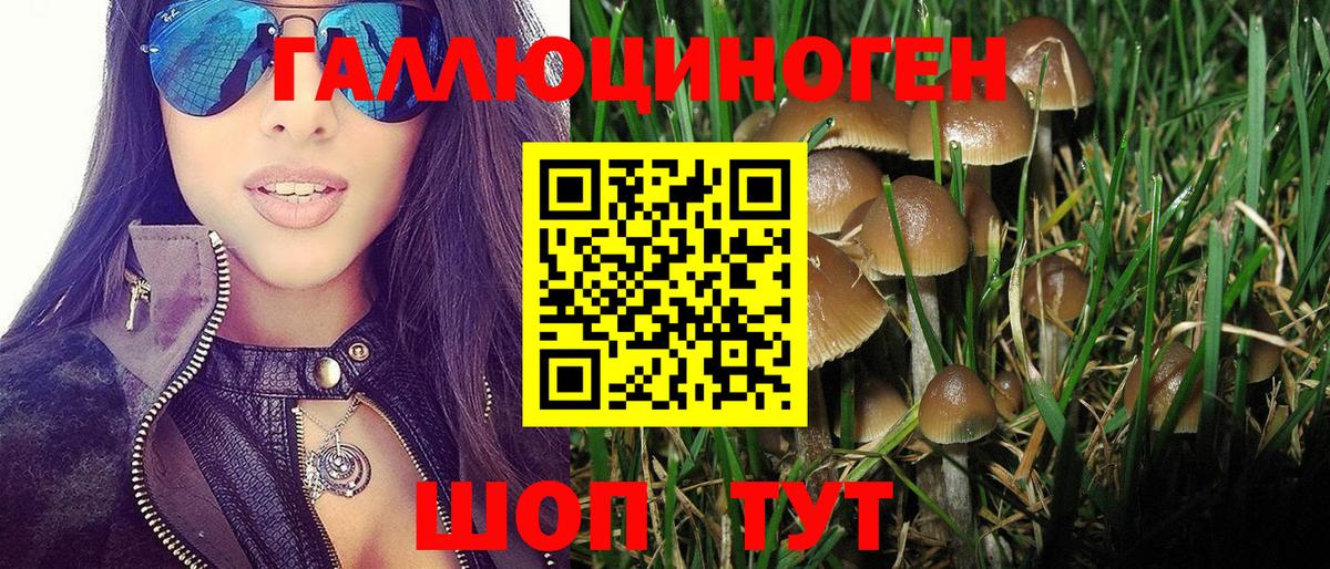 Галлюциногенные грибы Psilocybe Коряжма