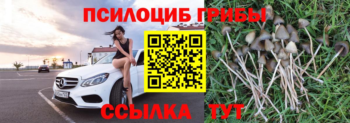 Псилоцибиновые грибы ЛСД  Вход с VPN  Коряжма 